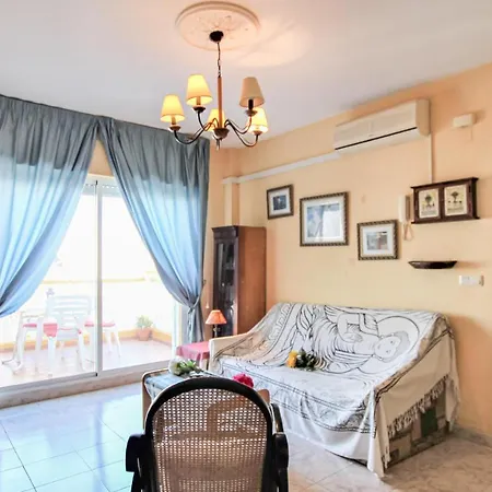 Pet Friendly In *